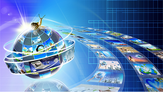 湖南省科學(xué)技術(shù)信息研究所 信息資源管理與軟件開發(fā)的雙輪驅(qū)動