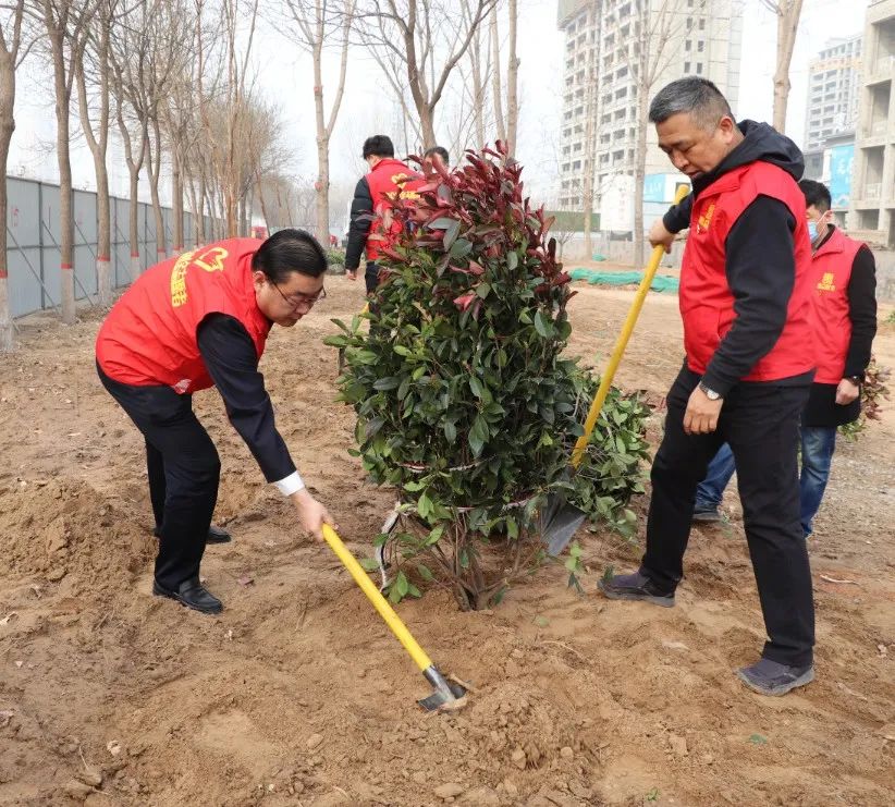 惠眾財金集團舉行“黨團共筑文明夢 植樹添綠應春風”植樹節活動(圖3)