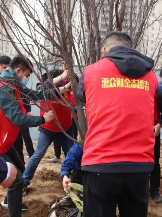 惠眾財金集團舉行“黨團共筑文明夢 植樹添綠應春風”植樹節活動(圖4)