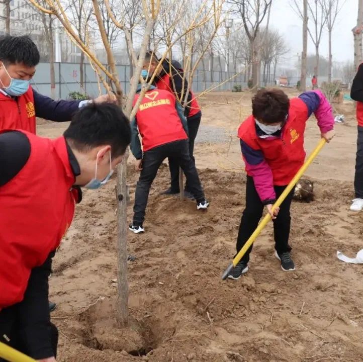 惠眾財金集團舉行“黨團共筑文明夢 植樹添綠應春風”植樹節活動(圖6)